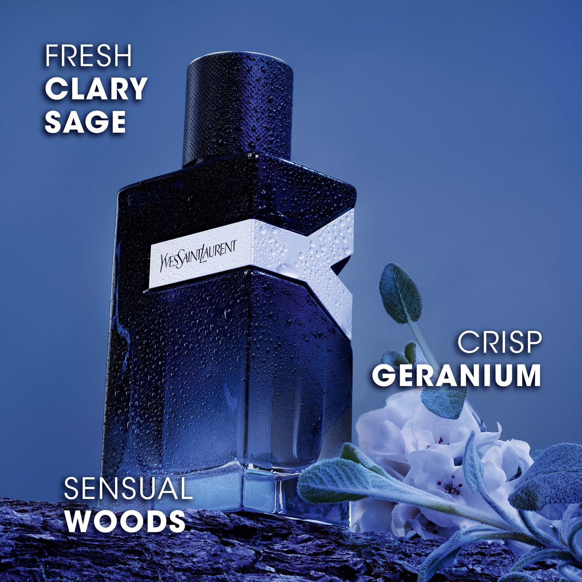 Yves Saint Laurent Y Eau de Parfum Spray for Men 100ml 3.4 oz Fresh Woody Fragrance